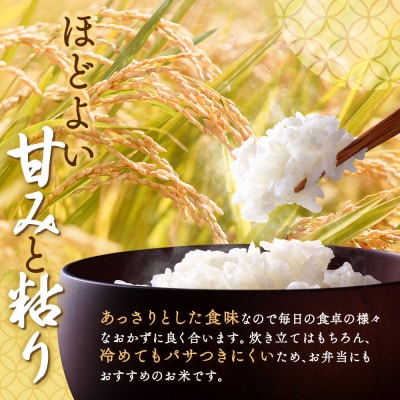 北海道恵庭産 ななつぼし　2kg×1袋【670016】