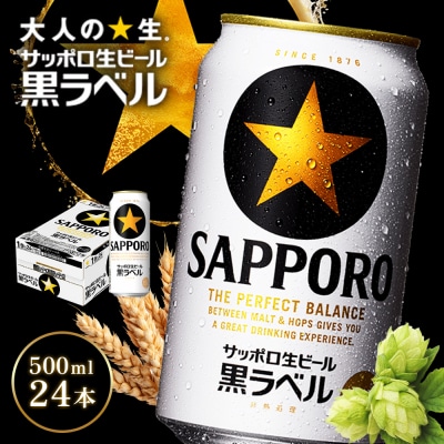 【北海道恵庭工場製造】サッポロ黒ラベル 500ml×24本【930050113】