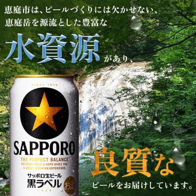 【定期便:全6回】サッポロ黒ラベル 350ml×24本【880040011906】