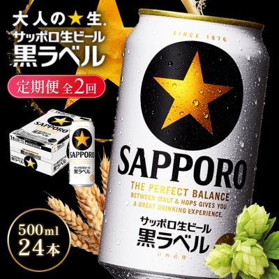 【定期便全2回】サッポロ黒ラベル500ml×24本【930050113902】
