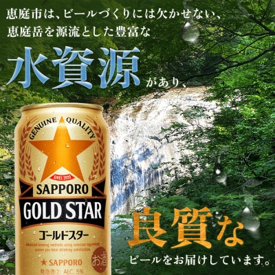 『定期便:全5回』GOLDSTAR 350ml×24本 ゴールドスター【880100051905】