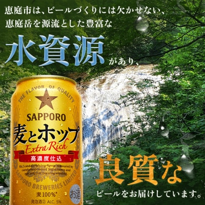 『定期便:全2回』麦とホップ 350ml×24本【880110041902】