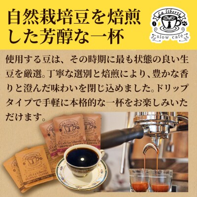 【定期便:全2回】自家製コーヒー豆 ドリップバック5個入×3セット【A20020】