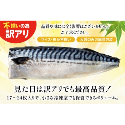 訳あり 減塩 無添加 塩サバ フィレ 総重量 3.5kg (17-24枚入) 20564775