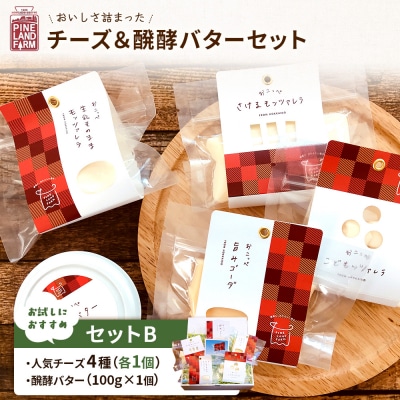 牧場直送便『おいしさ詰まったチーズ&醗酵バターBセット』【1100401】