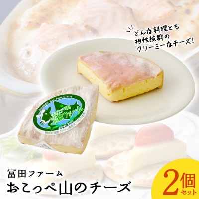 牧場から直送『おこっぺ山のチーズ2個セット』【22024】