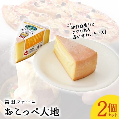 おこっぺ大地(ウォッシュタイプ)2個【22021】