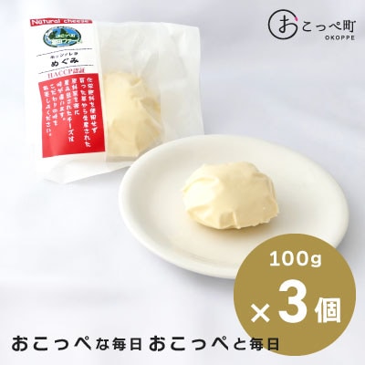 モッツァレラめぐみ3個【105】