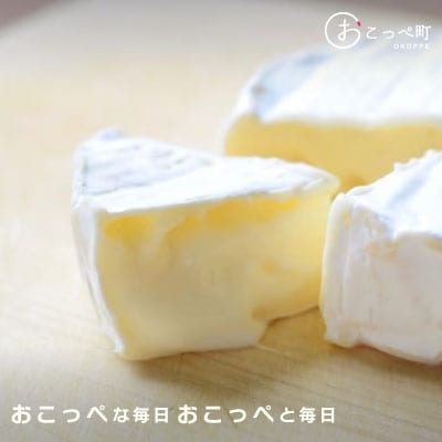 カマンベールチーズSAYURI 2個【111】