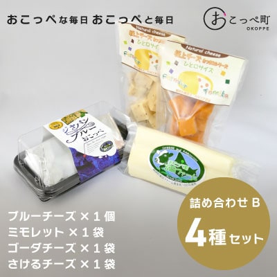 チーズ詰め合わせセットB【81】