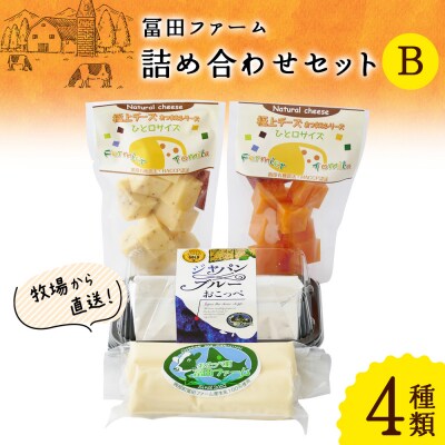 牧場から直送『チーズ詰め合わせセットB』【22004】