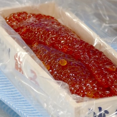 おこっぺの塩筋子500g【295】