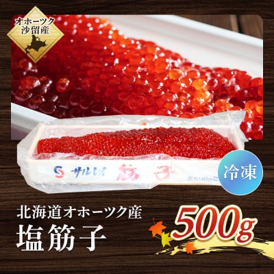 おこっぺの塩筋子500g【21020】