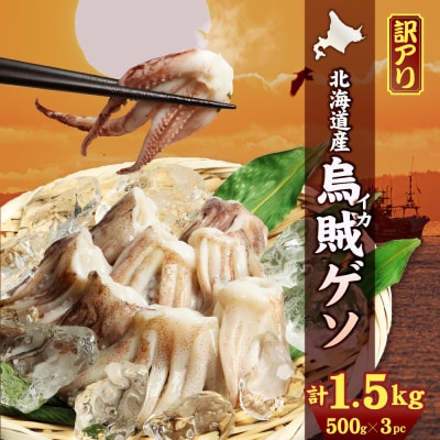〔ワケあり〕北海道産　イカゲソ1.5kg【20006】