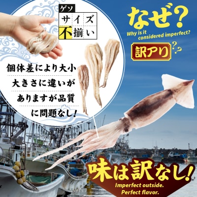 〔ワケあり〕北海道産　イカゲソ1.5kg【20006】
