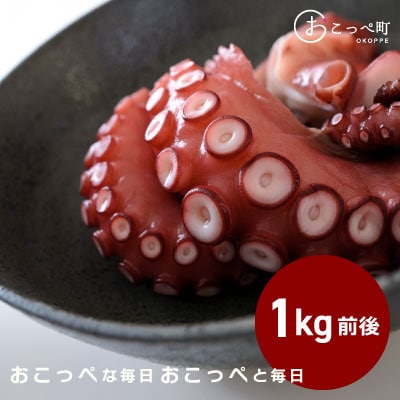 タコ足1kg前後 北海道オホーツク産【45】