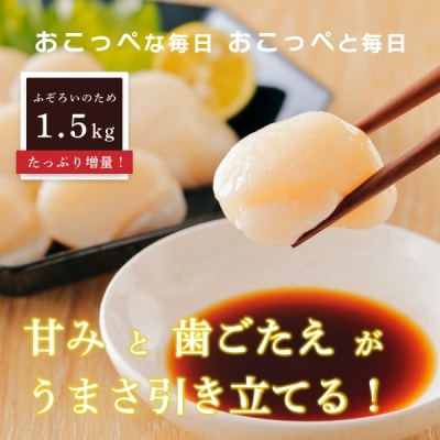 【ふぞろい品】ホタテ玉冷1.5kg 北海道オホーツク産【302】