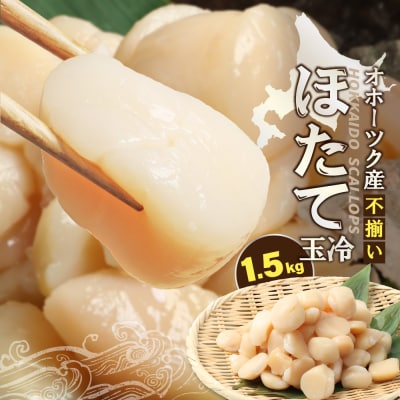【ふぞろい品】ホタテ玉冷1.5kg 北海道オホーツク産【21024】
