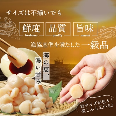 【ふぞろい品】ホタテ玉冷1.5kg 北海道オホーツク産【21024】