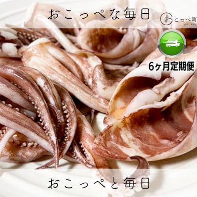 〔ワケあり〕わけあって!イカゲソとイカミミ 隔月6ヶ月定期便【221】