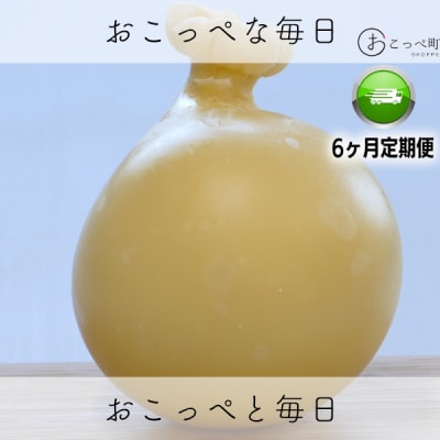 カチョカバロ 6ヶ月定期便【262】
