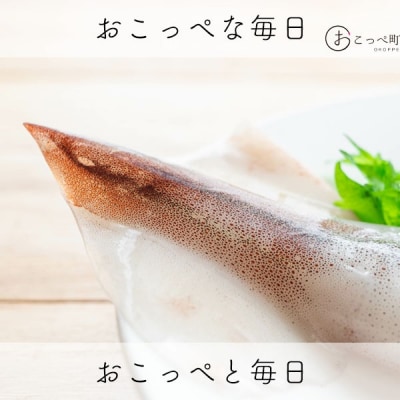 イカミミ3kg【20027】