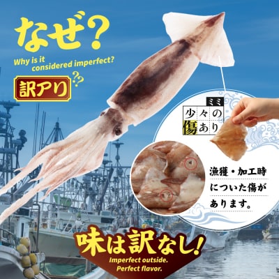 【わけあり】イカミミ3kg【20027】
