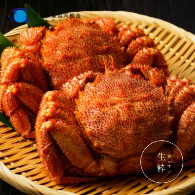 〔大きいサイズ 660g前後 〕冷凍浜茹で毛がに『2尾セット』【21033】