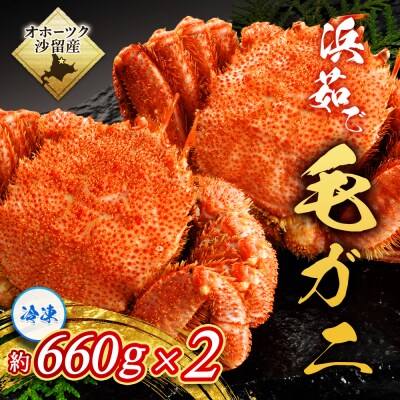 〔大きいサイズ 660g前後 〕冷凍浜茹で毛がに『2尾セット』【21033】