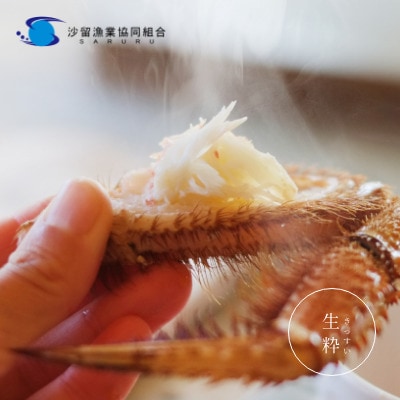 〔大きいサイズ 660g前後 〕冷凍浜茹で毛がに『2尾セット』【347】