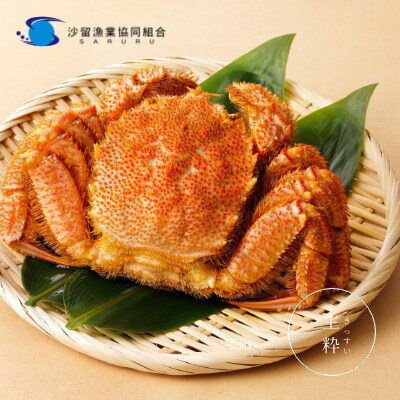 〔大きいサイズ 660g前後 〕冷凍浜茹で毛がに『1尾』【21034】