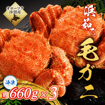 〔大きいサイズ 660g前後 〕冷凍浜茹で毛がに『3尾セット』【21035】