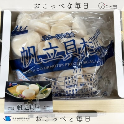 【お手頃サイズ】オホーツク産ホタテ500g【400】