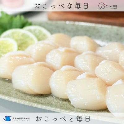 【お手頃サイズ】オホーツク産ホタテ500g【400】