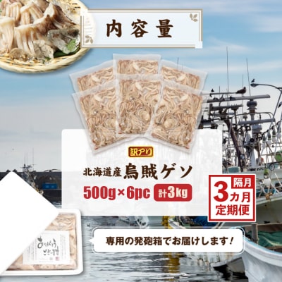 〔ワケあり〕北海道産　イカゲソ3.0kg　隔月3ヶ月定期便【20001】