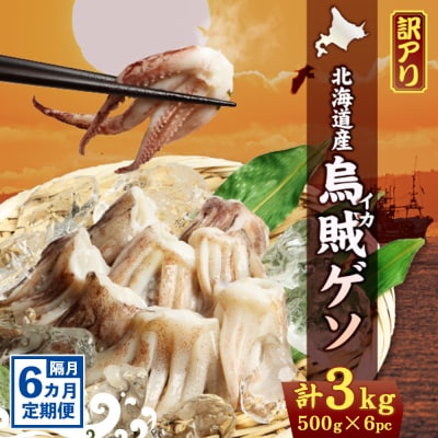 〔ワケあり〕北海道産　イカゲソ3.0kg　隔月6ヶ月定期便【20002】