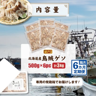 〔ワケあり〕北海道産　イカゲソ3.0kg　隔月6ヶ月定期便【20002】