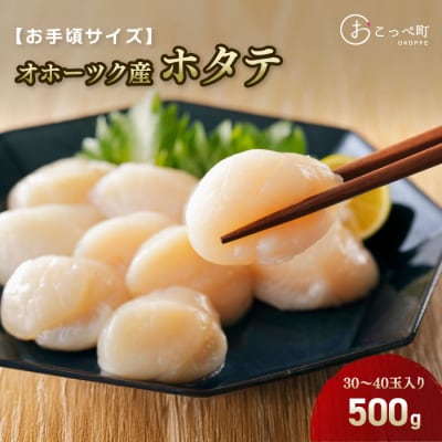 【お手頃サイズ】オホーツク産ホタテ500g【400】