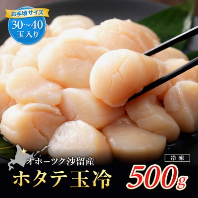【お手頃サイズ】オホーツク産ホタテ500g【21037】