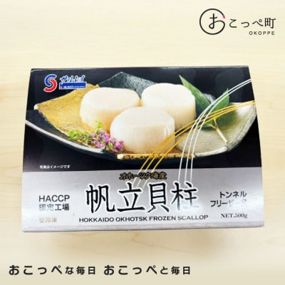 【お手頃サイズ】オホーツク産ホタテ500g【21037】