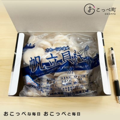 【お手頃サイズ】オホーツク産ホタテ500g【21037】