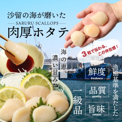 【お手頃サイズ】オホーツク産ホタテ玉冷500g(約30～40玉入り)【21037】