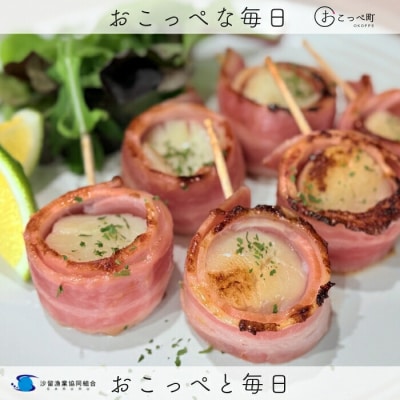 【お手頃サイズ】オホーツク産ホタテ500g【21037】