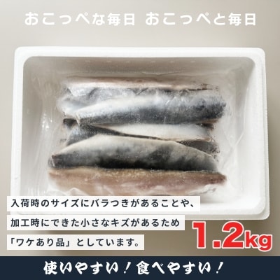 【ワケあり】特大 ”生冷” 春にしんフィレ1.2kg(オホーツク産・オス無塩)【20033】