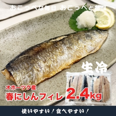 【ワケあり】特大 ”生冷” 春にしんフィレ2.4kg(オホーツク産・オス無塩)【389】