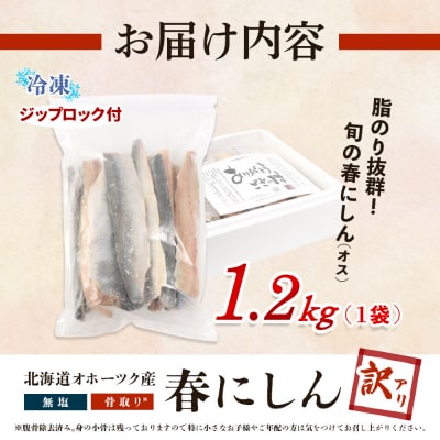 【ワケあり】 ”生冷” 春にしんフィレ1.2kg(オホーツク産・オス無塩)【20033】
