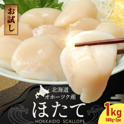 【お試しホタテ】オホーツク産ホタテ(500g×2袋)【21041】
