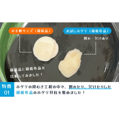 【お試しホタテ】オホーツク産ホタテ(500g×2袋)【21041】