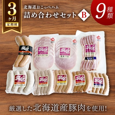 【北海道おこっぺハム】詰め合わせセットB　3ヶ月定期便【15004】