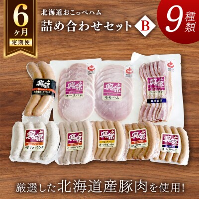 【北海道おこっぺハム】詰め合わせセットB 6ヶ月定期便【15005】